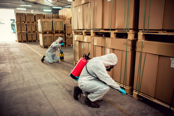 Best Best Pest Control Companies  in Whitney, NV